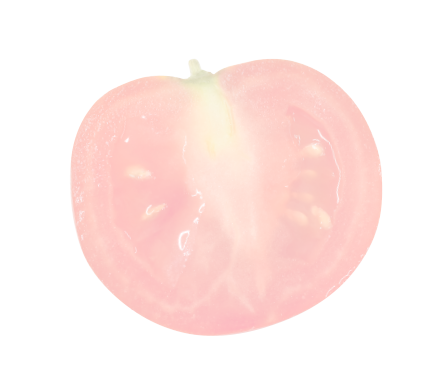 トマト素材